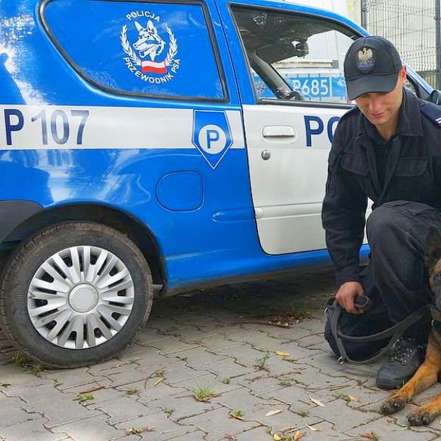Kasja - pies tropiący odnalazł 32-letnią kobietę